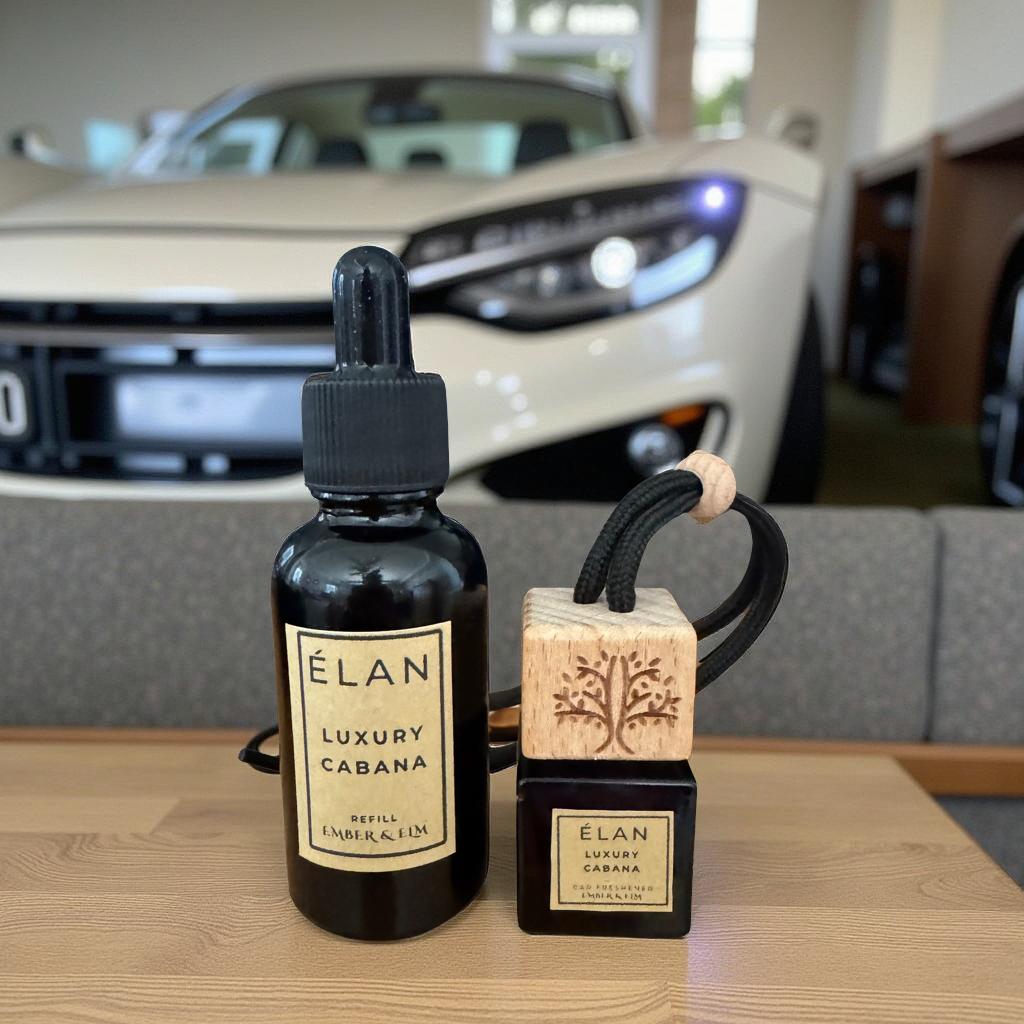 Car Fragrance Diffuser